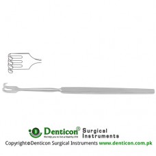 Wound Retractor 4 Blunt Prongs - Small Curve Stainless Steel, 16.5 cm - 6 1/2" Width 9.5 mm